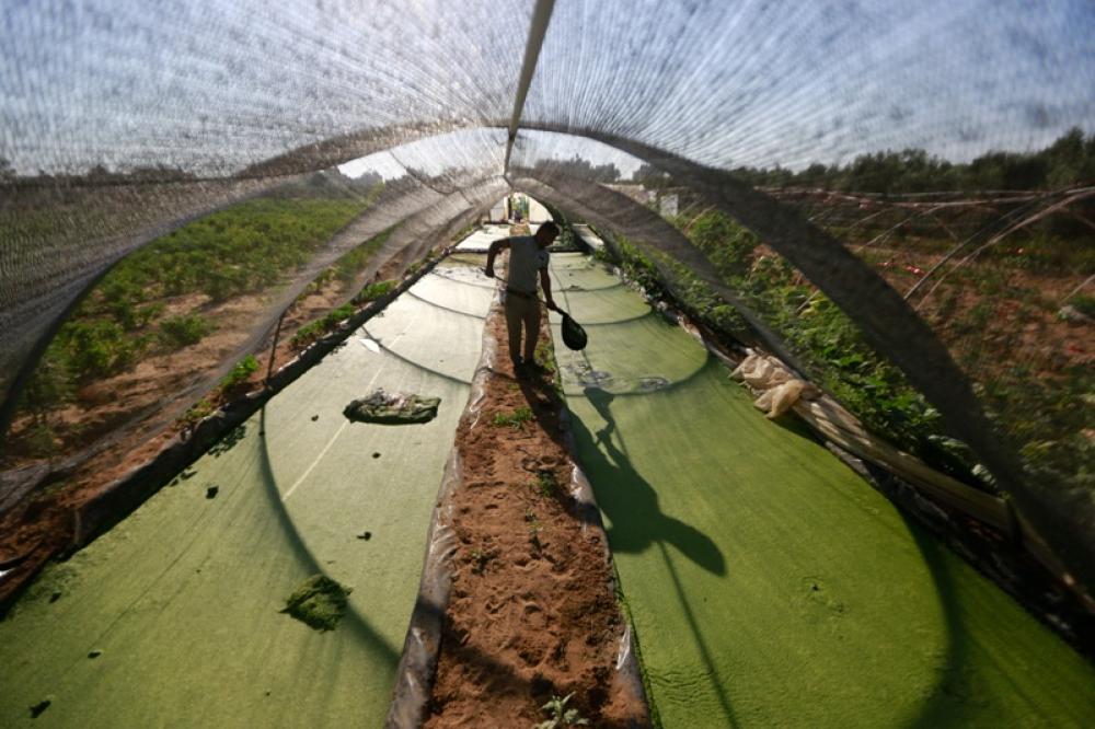 World in Photos: August 6 , 2019