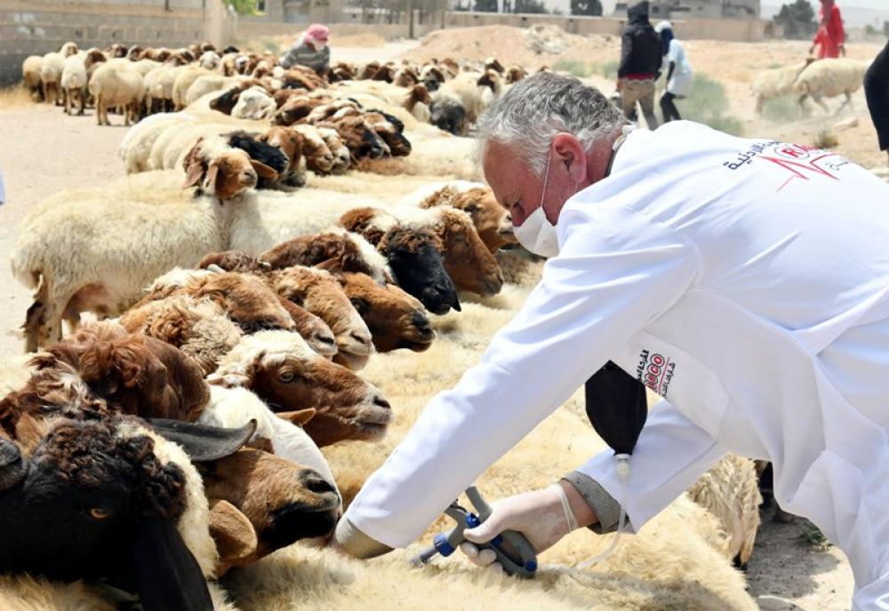 Vaccination in countryside of Damascus