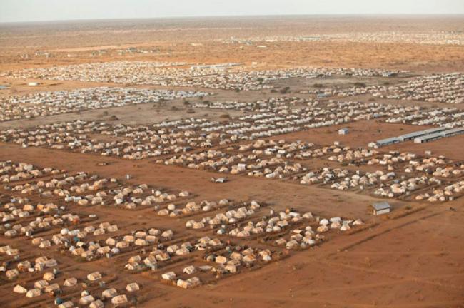 Somali repatriation process must be voluntary in Kenya: UN Somali repatriation process must be voluntary in Kenya: UN