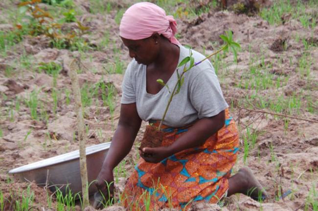 Women farmers pillar of food security: UN 