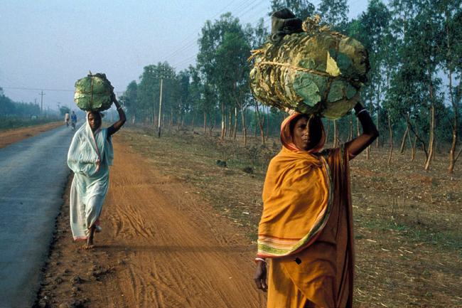 UN kicks off International Women’s Day celebrations 