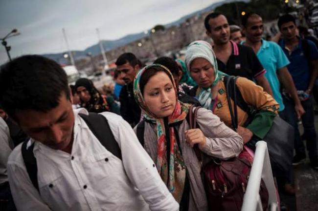 Western Balkans experiencing surge in migrant, refugee crossings: UN agency