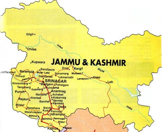 Amnesty International asks J&K government to end use of pellet guns