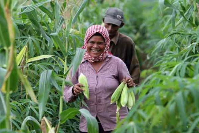 Rural women's empowerment critical to UN Sustainable Development Agenda – Ban