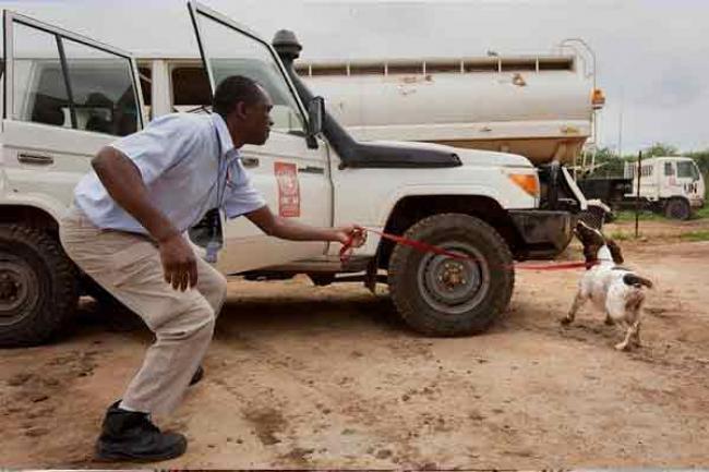South Sudan: New team of explosive detection dogs arrives at UN mission