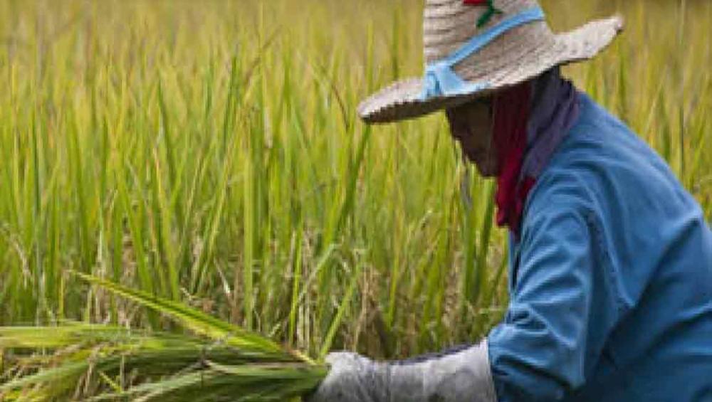 Asia-Pacific countries pledge women, girl&rsquo;s empowerment at high-level UN forum