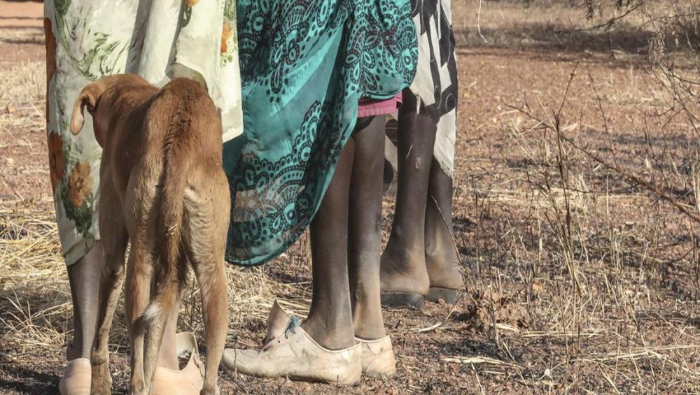 ‘Endemic’ sexual violence surging in South Sudan: UN human rights office