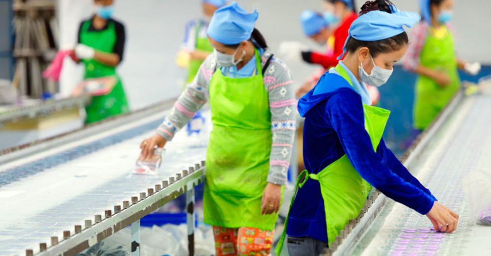 New UN report offers blueprint for greener, more resilient world of work