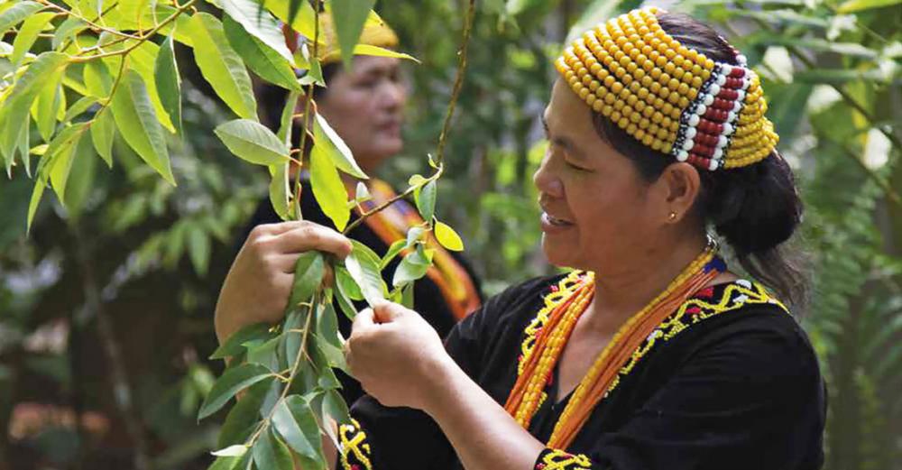 On International Day, UN chief spotlights indigenous peoples’ resilience in face of COVID-19 pandemic