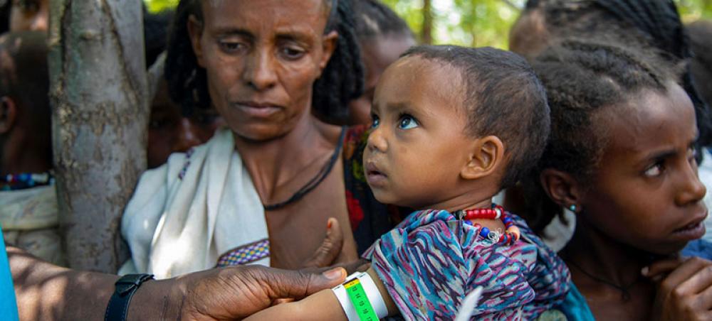 Multiple reports of alleged human rights violations in Tigray Multiple reports of alleged human rights violations in Tigray