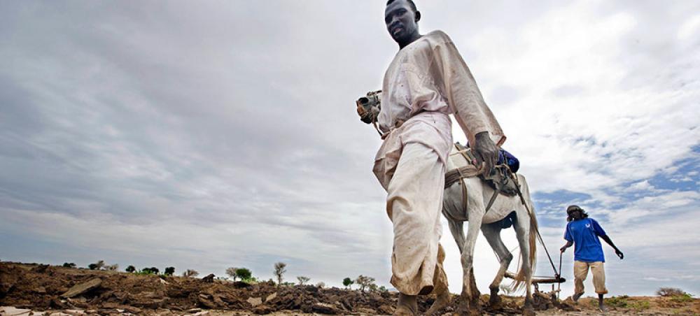 New FAO report highlights urgent need to restore Africa’s degraded landscape