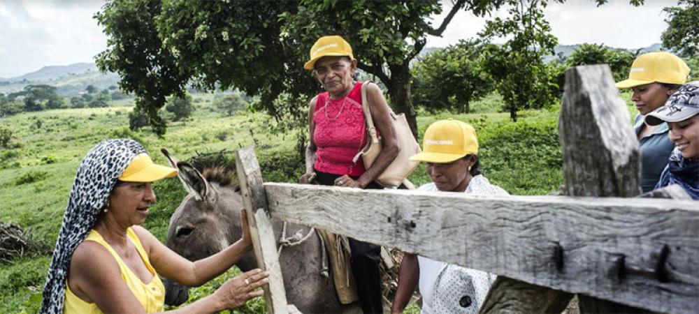 Colombians cling tenaciously to peace gains, Security Council hears