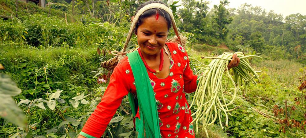 International Day honours rural women’s critical role in feeding the world