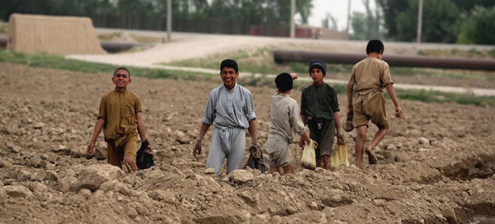 Act now to stamp out child labour by 2025: FAO chief
