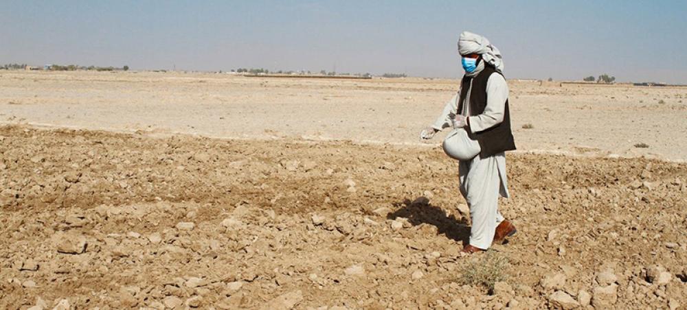 Afghanistan: UNHCR alarm over forced refugee returns from Tajikistan Afghanistan: UNHCR alarm over forced refugee returns from Tajikistan