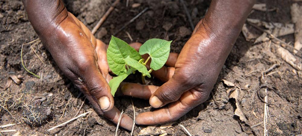 Pope Francis in DR Congo: WFP highlights Africa’s biggest hunger crisis