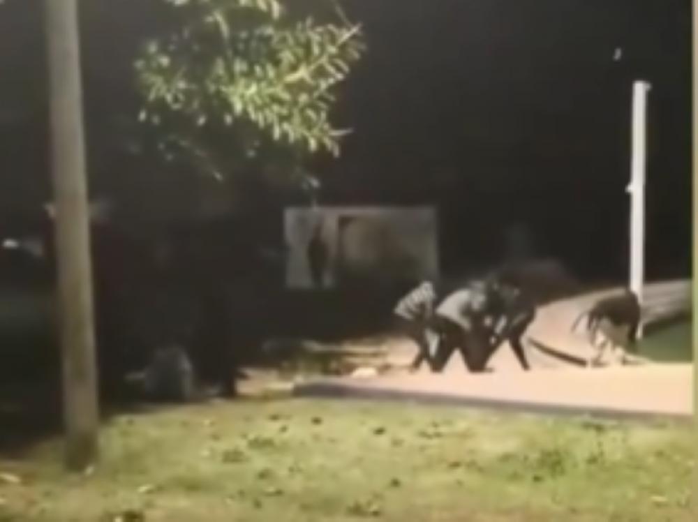 Caught on camera: Two foreigners assaulted in Israel in an alleged racial attack 